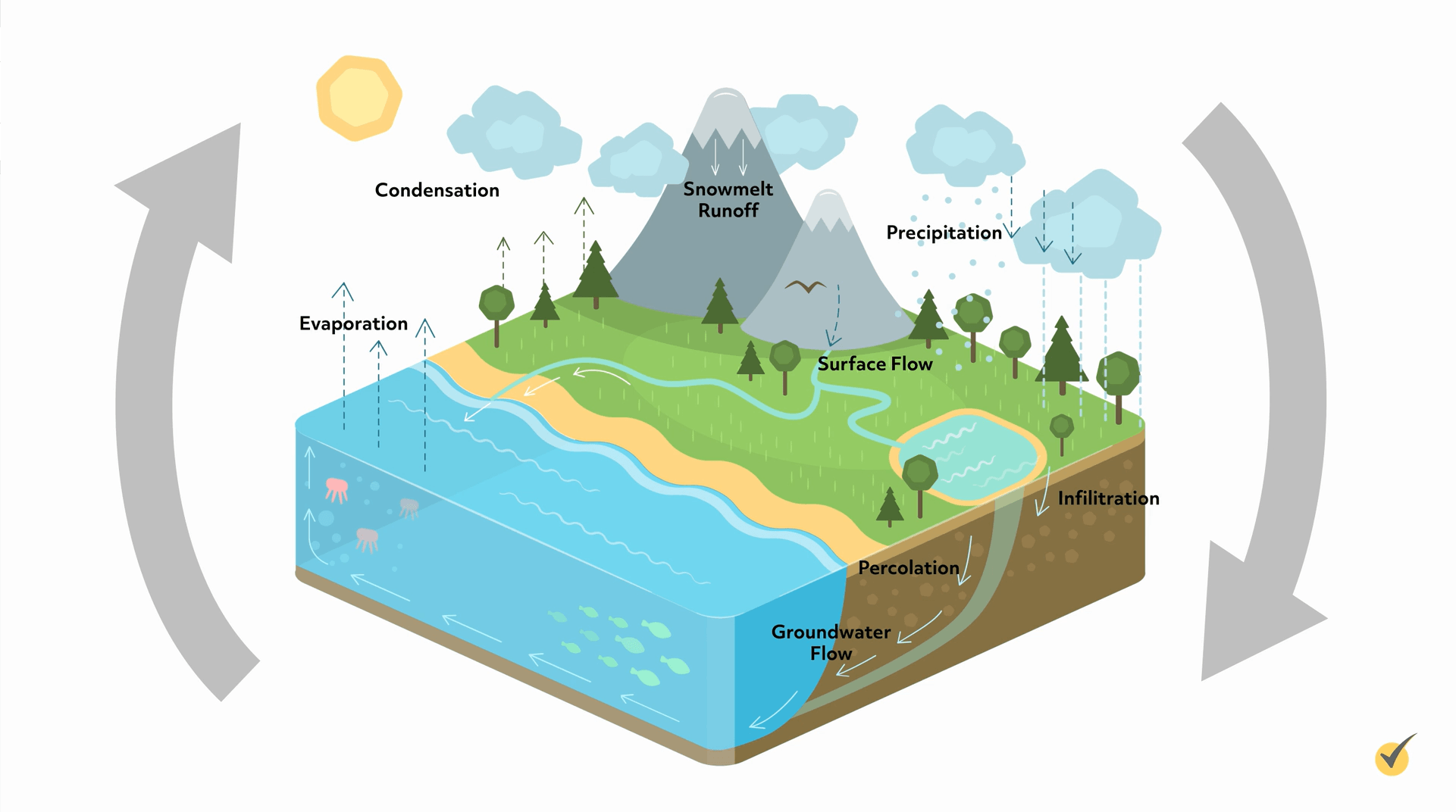 Percolation Water Cycle Definition