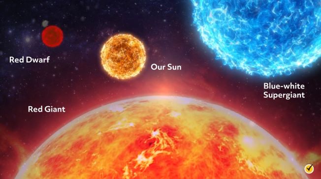 white dwarf star comparison