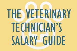 vet tech salary guide - Mometrix Blog